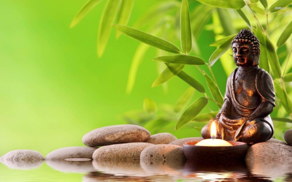 Romanian Wellness