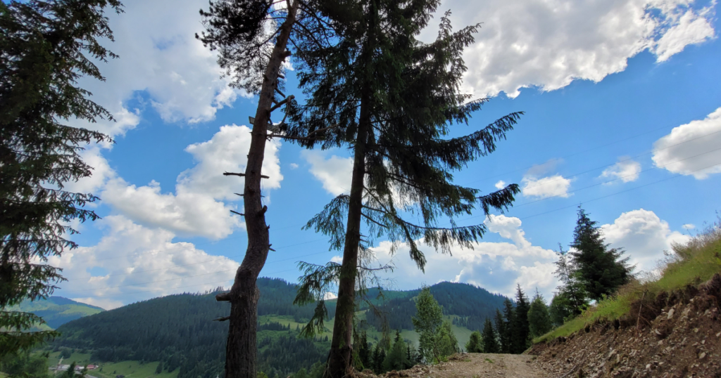 Cazare Bucovina