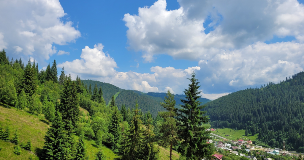 Cabane Bucovina