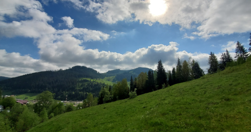 Pensiune Bucovina