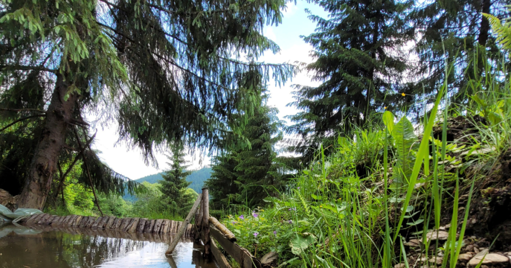 Pensiune Bucovina