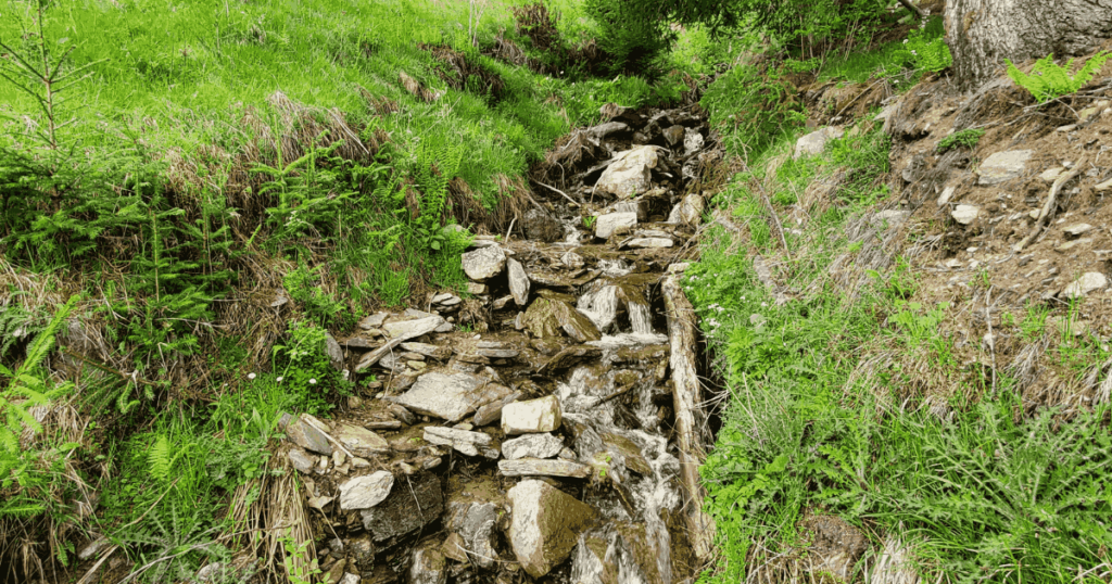 Cabane Bucovina