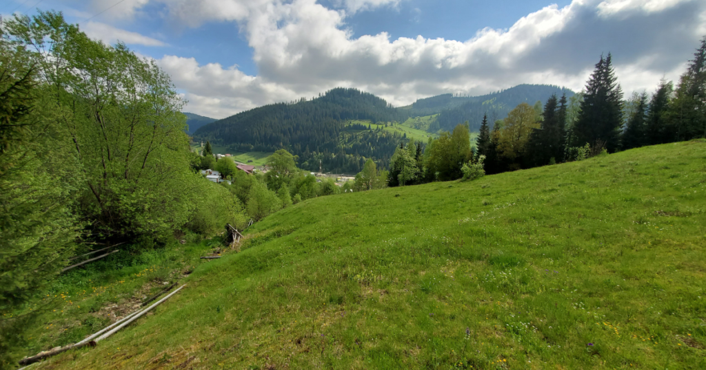 Pensiune Bucovina