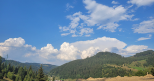 Pensiune Bucovina