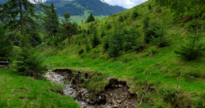 Pensiune Bucovina
