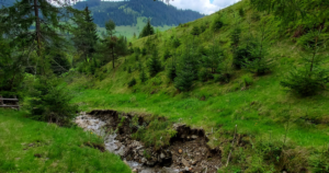 Pensiune Bucovina