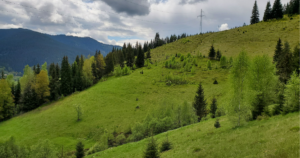 Cazare Bucovina